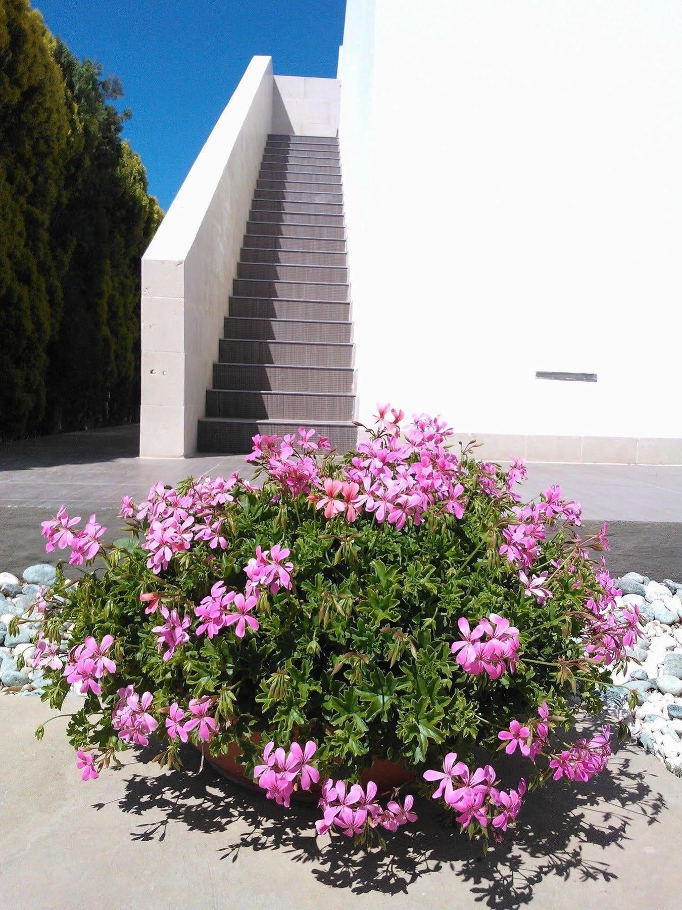 Torrefano 3*