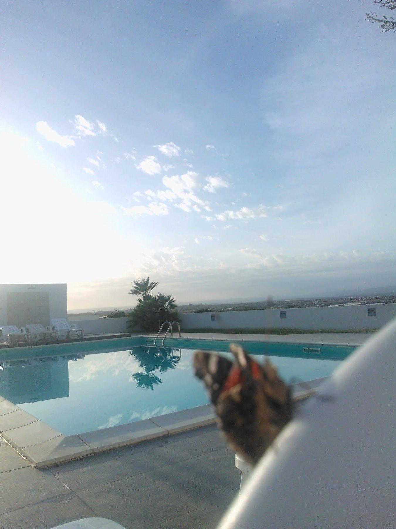 Torrefano Bed & Breakfast